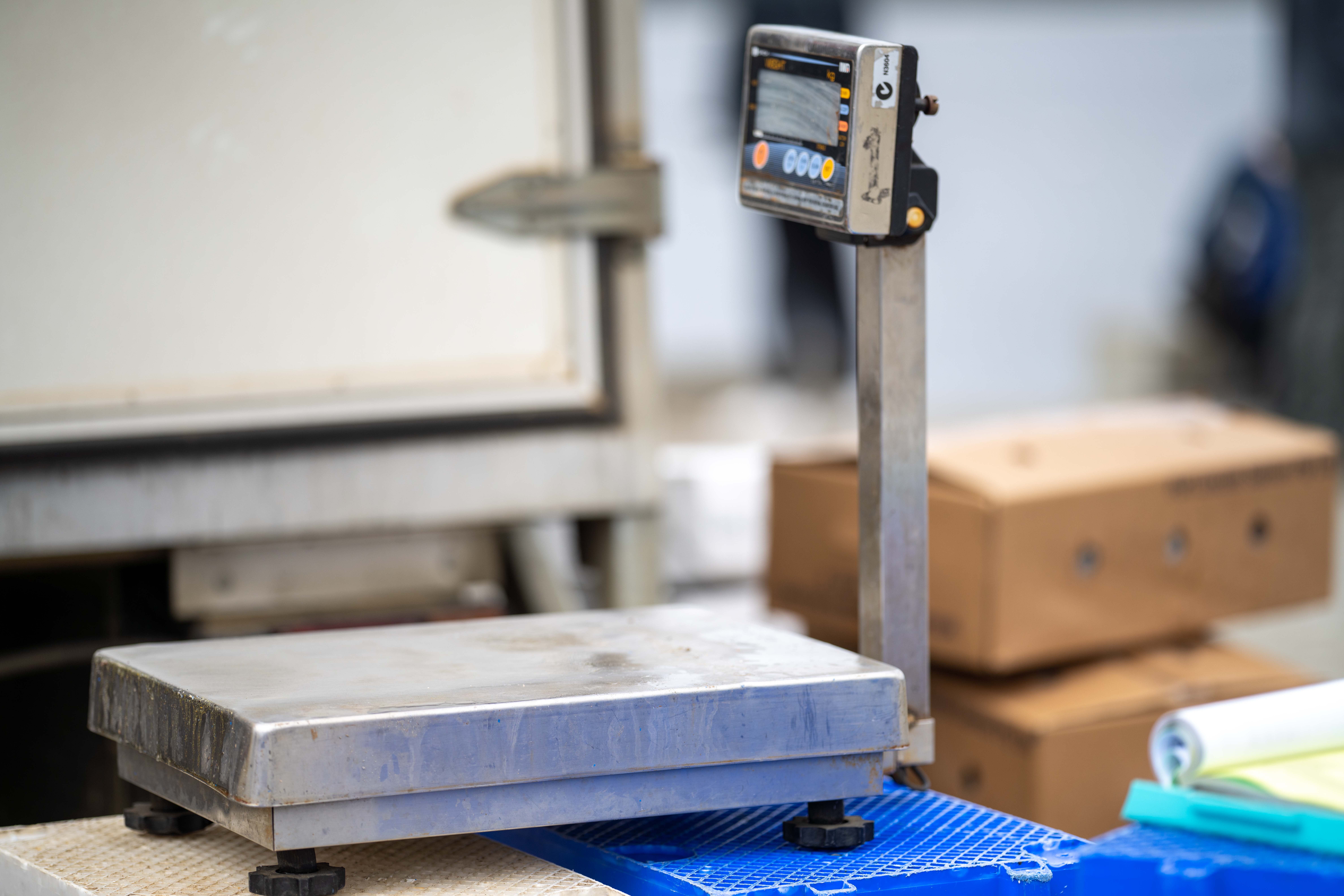 Weight Scale Integration