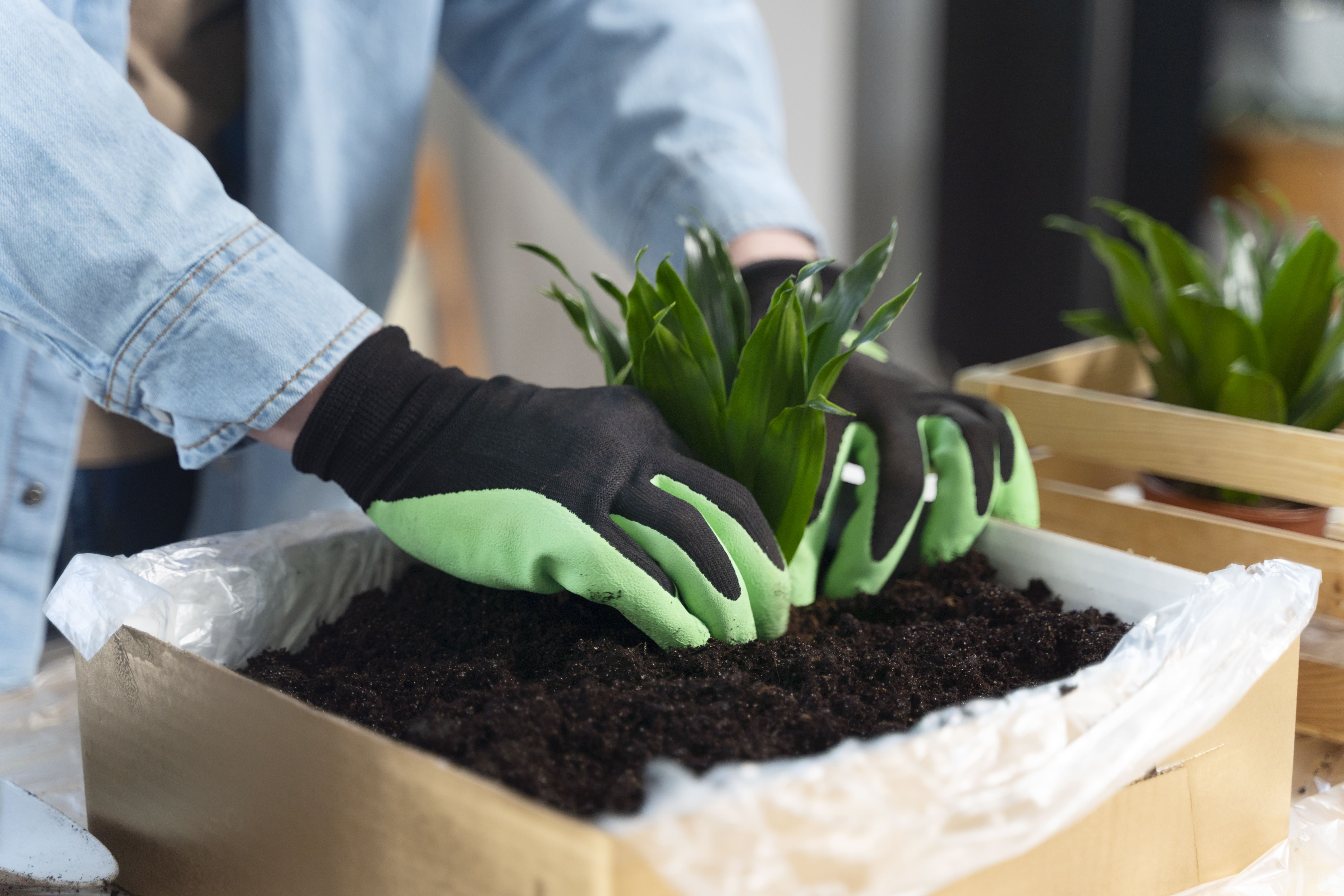 Plant-Based Consignments